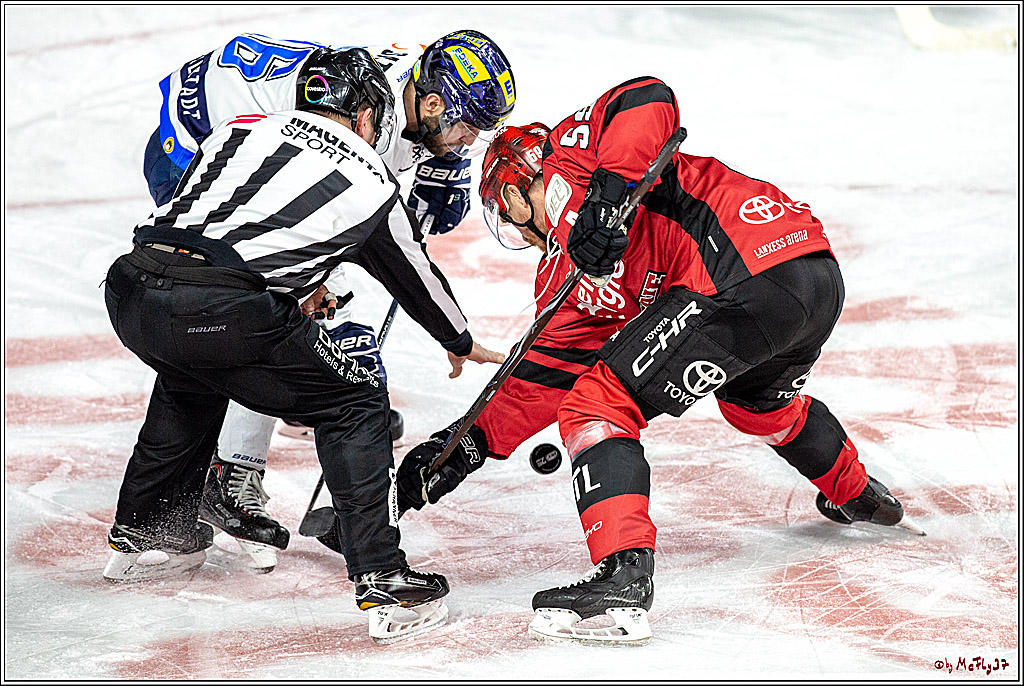 DEL-Playoff; Koelner Haie - ERC Ingolstadt, 24.03.2019